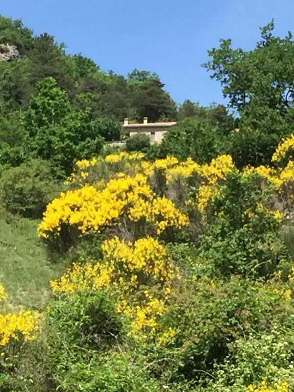 Holiday home Ferme De Fonfroide Location A La Semaine Villa La Motte-Chalancon